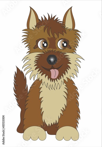 Perro