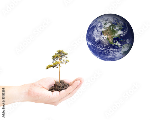 Human hand holding global in soil with green tree for EARTH CARE