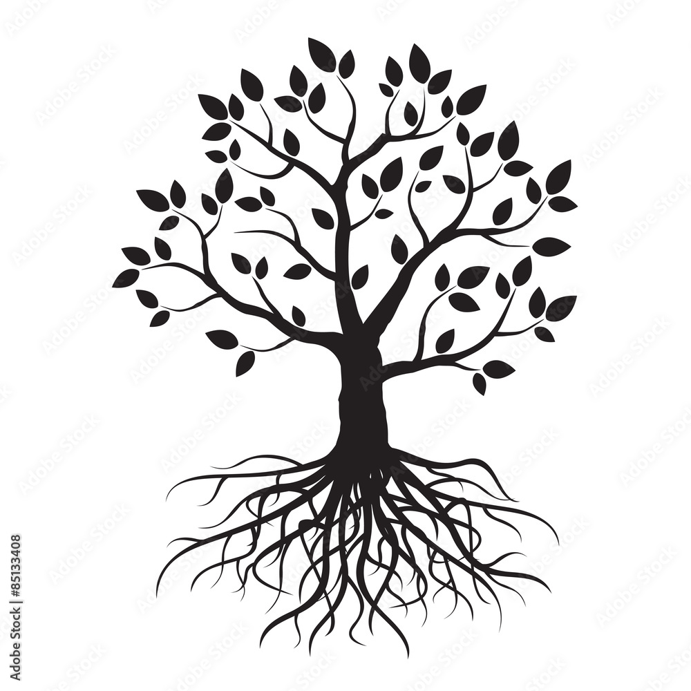 Fototapeta premium Vector tree and roots
