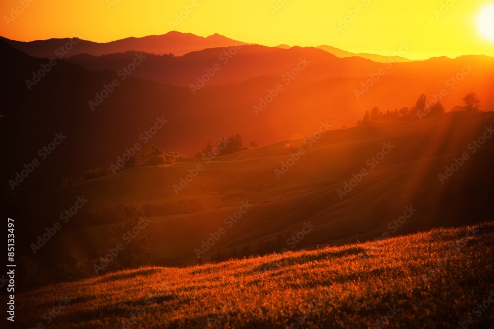 Naklejka premium Summer Sunset Landscape