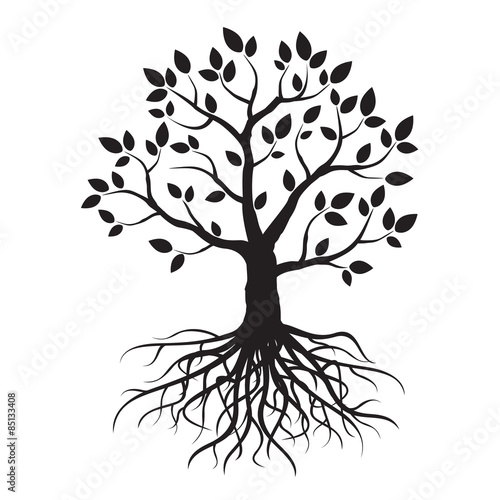 Vector tree and roots