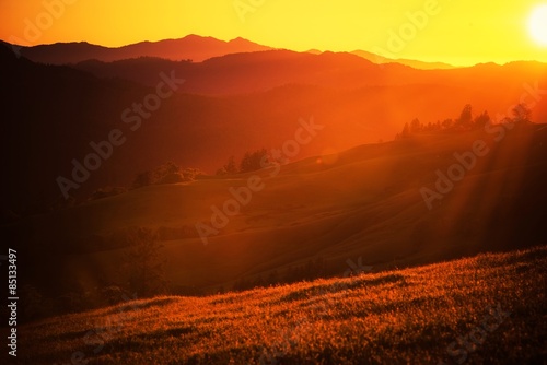 Summer Sunset Landscape