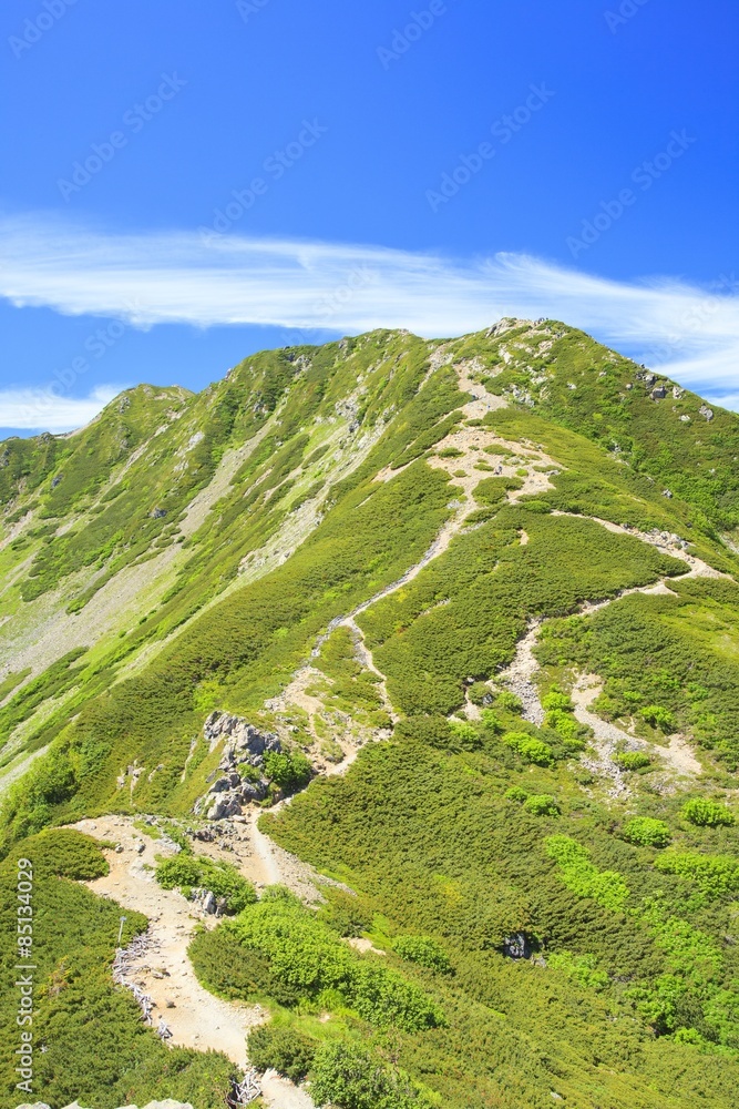 Fototapeta premium Southern Alps Mt. Senjougatake, Yamanashi, Japan
