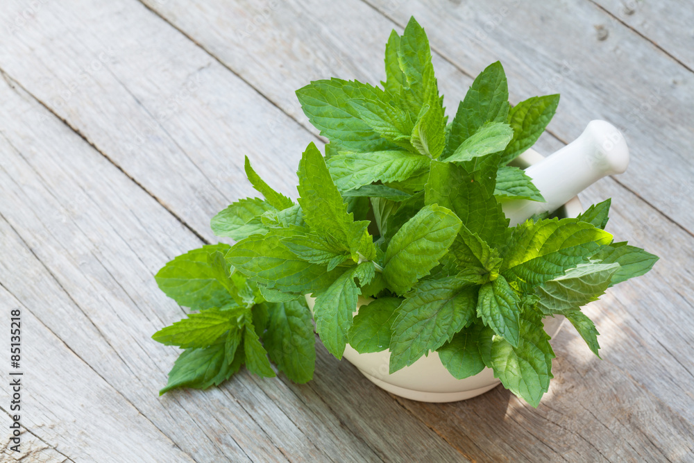 Fresh mint in mortar on garden table Fresh mint in mortar on garden table