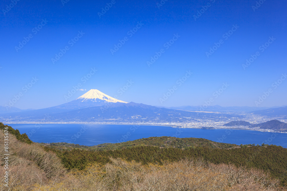Mt. Fuji and Suruga bay from Darumayama, Izu Peninsula, Japan