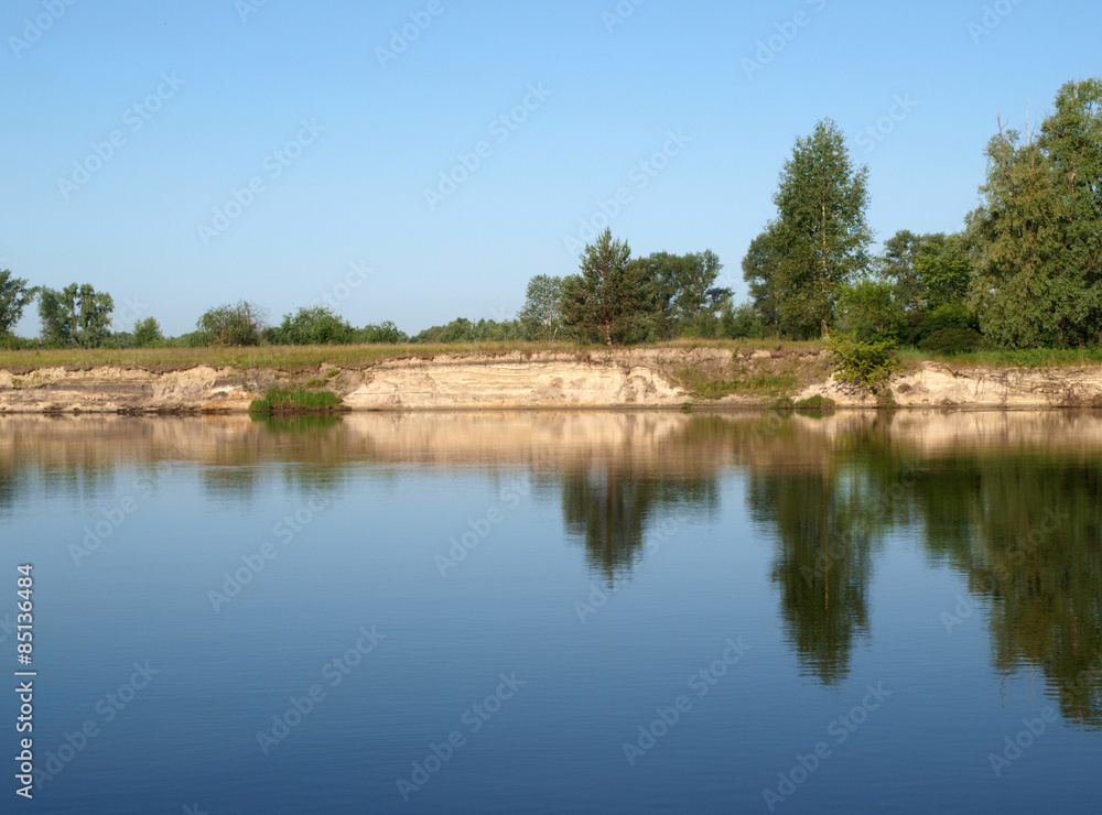 Trees reflection in the river Trees reflection in the river