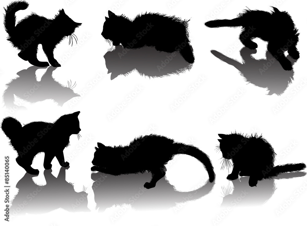 six small black kittens with reflections
