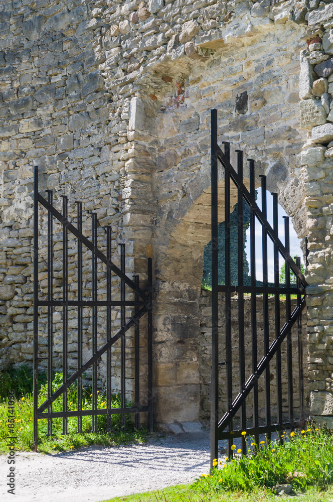 Medieval castle's wall and iron gate
