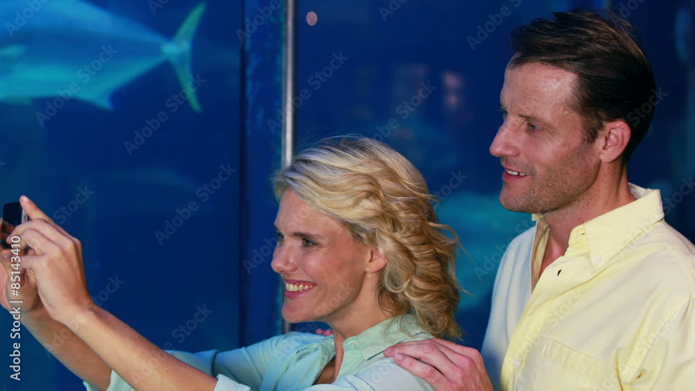 Happy couple taking a picture of fishes Happy couple taking a picture of fishes