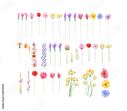 Floral set of graphic elements