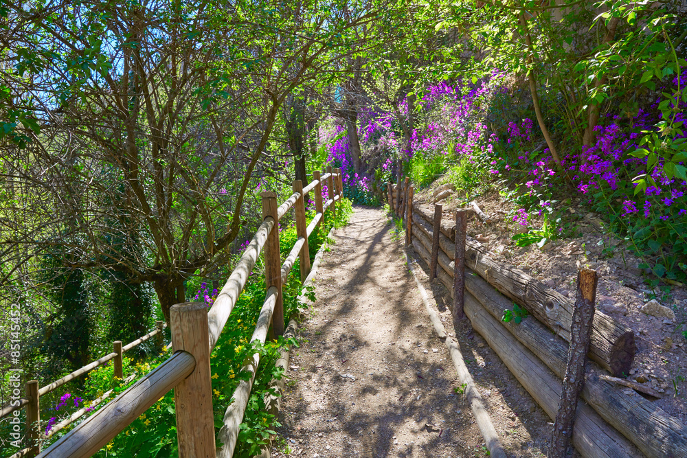 Cuenca spring forest in Canete wooden fence Cuenca spring forest in Canete wooden fence
