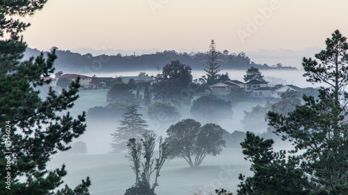 Foggy golf course