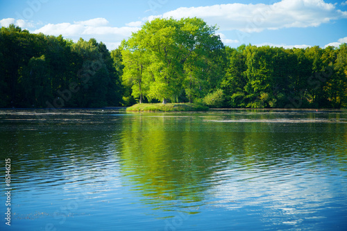 River flowing in the woods on a sunny summer day.