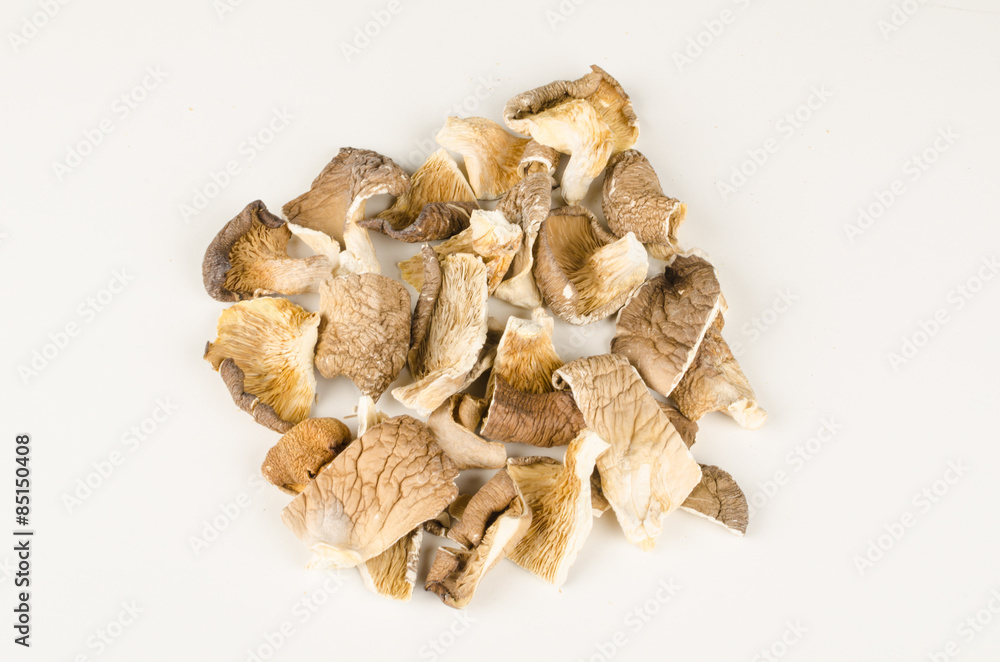 Oyster mushrooms Oyster mushrooms