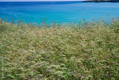 cielo e mare salentino