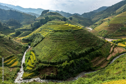 Rice fields, Mu Cang Chai, YenBai, Vietnam photo