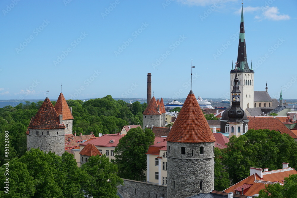 Fototapeta premium tallinn