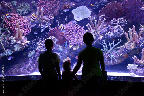people look at a large aquarium