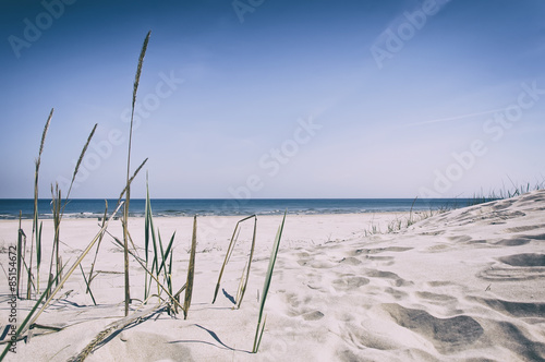 Grass sand dune beach sea view  Baltic Sea