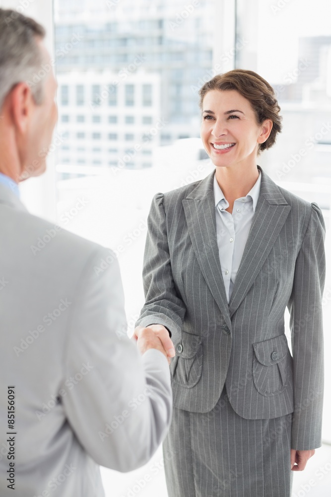 Smiling businesswoman shaking hand with a businessman Smiling businesswoman shaking hand with a businessman