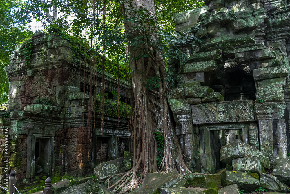 sight of two pavilions or libraries in ruins in the archaeological ta prohm place in siam reap, cambodia sight of two pavilions or libraries in ruins in the archaeological ta prohm place in siam reap, cambodia