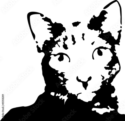 Gato Vector
