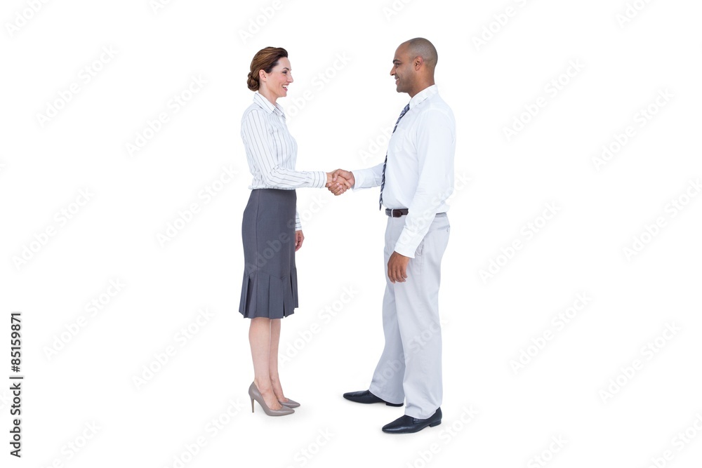 Business people shaking their hands 