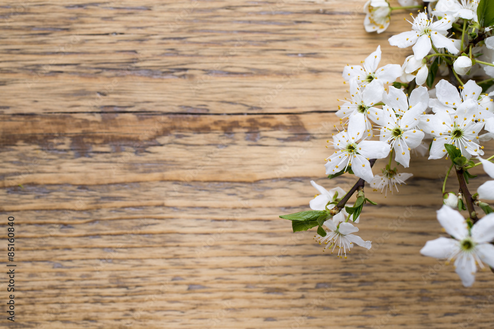 Tree cherry. Tree cherry.