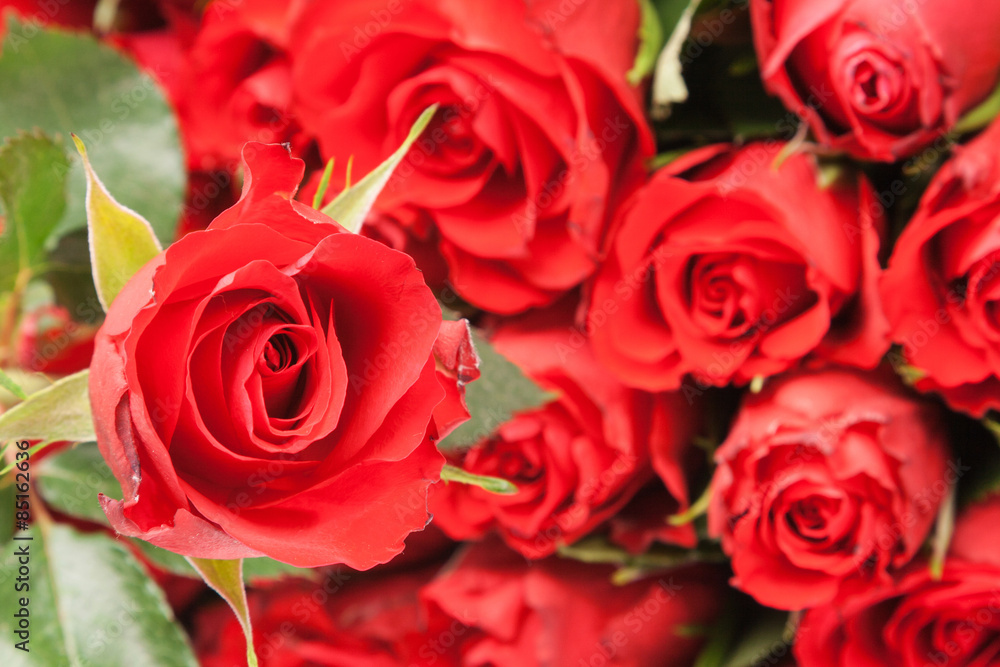 Naklejka premium bouquet of red roses for romantic gift background
