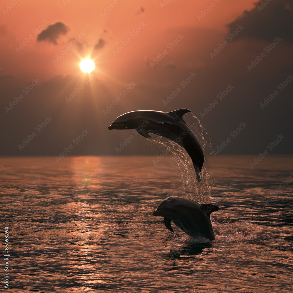 Naklejka premium Bright orange sunset at the ocean and two beautiful dolphins leaping out of water