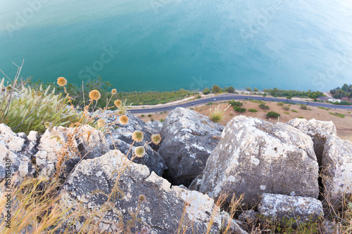 Quadro su tela Thorns flowers cliff above asphalt road and lake.