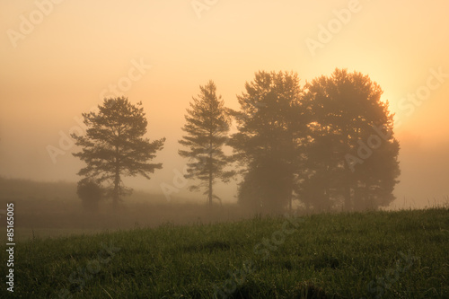 Sunrise at foggy meadow
