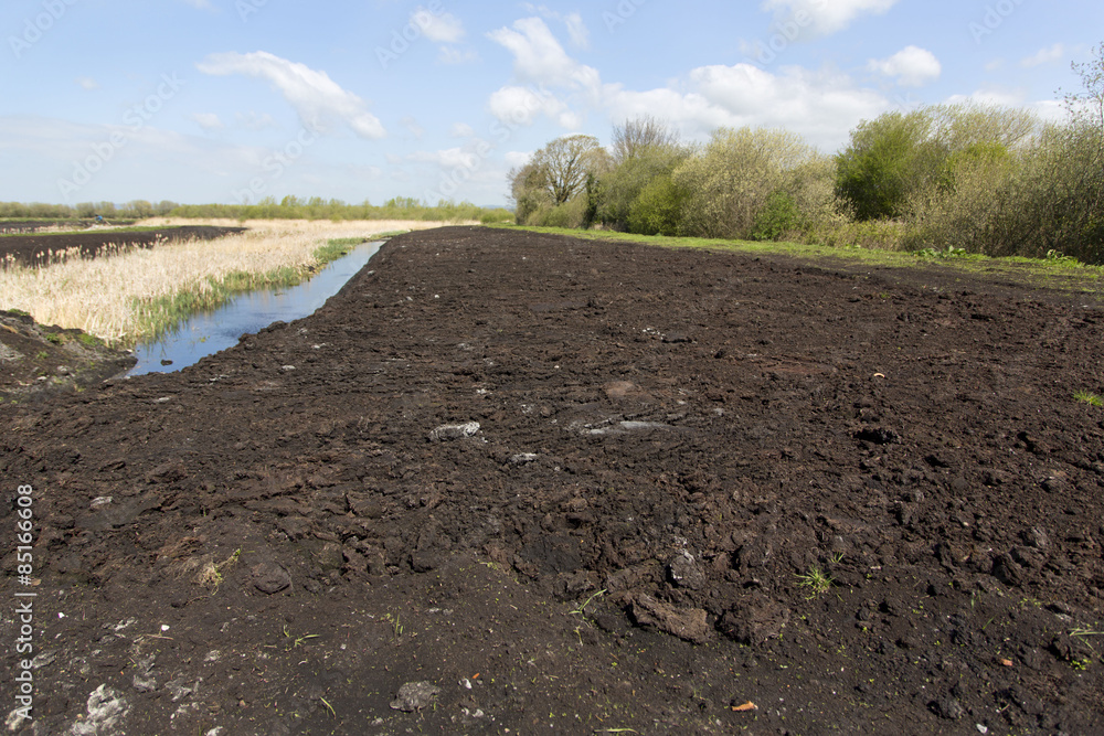 Peat field on the Somerset Levels