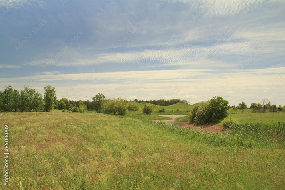 Green field