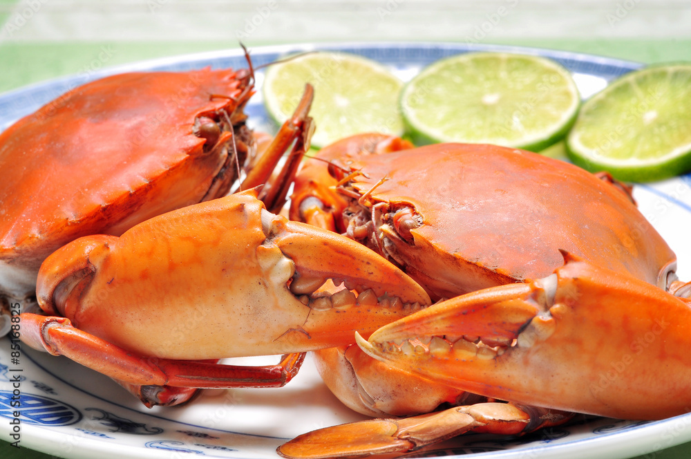 Crab from the Mekong delta