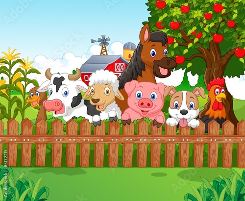 Collection farm animals 