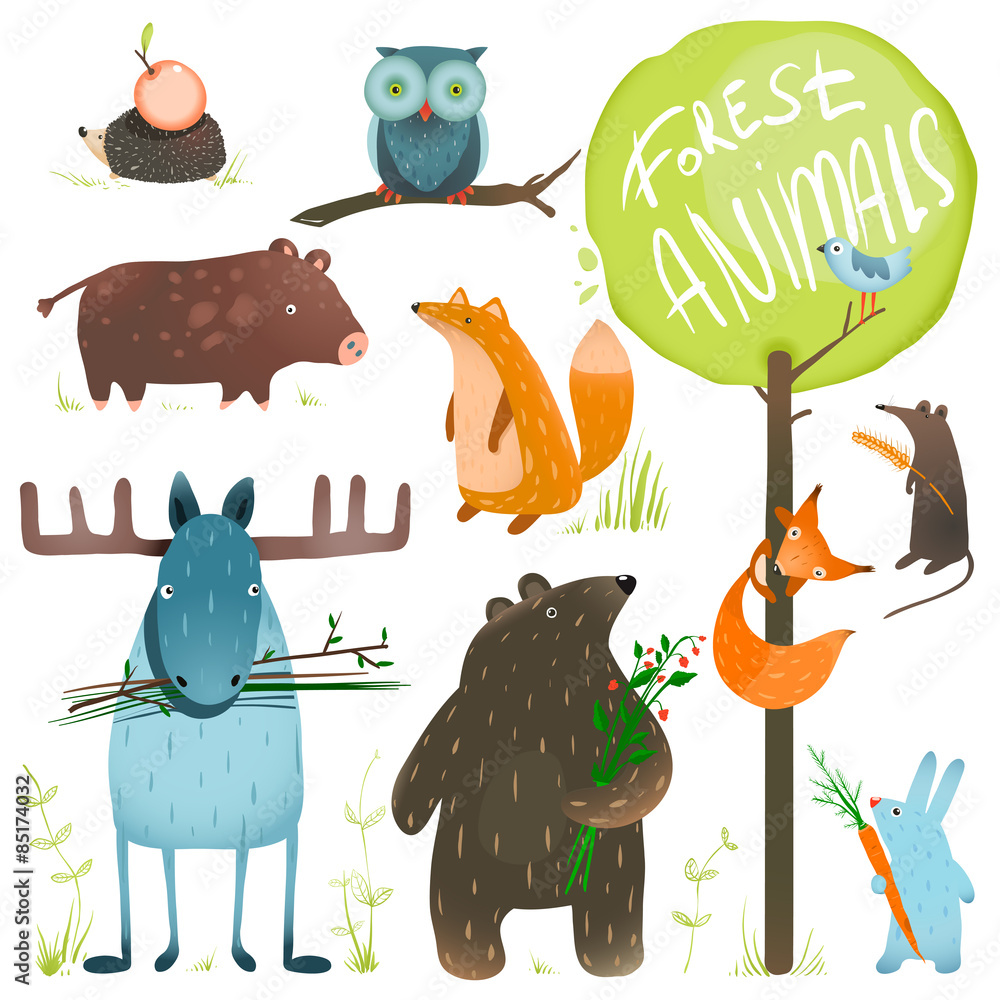 Obraz premium Cartoon Forest Animals Set