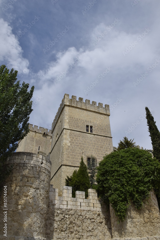 Castillo de Ampudia (Palencia). Vista de las torres
