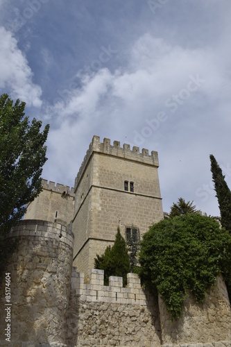 Castillo de Ampudia (Palencia). Vista de las torres