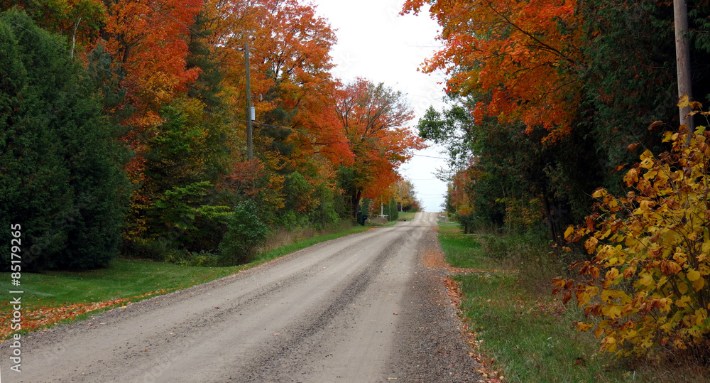 Unpaved country road through the autumn trees.