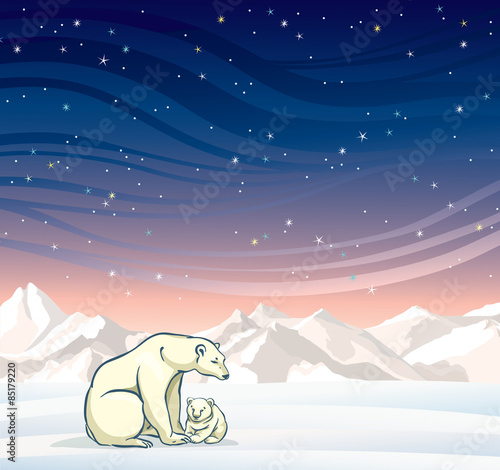 Polar bear with baby and winter landscape at night.