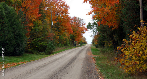 Unpaved country road through the autumn trees. © Nik's Pics