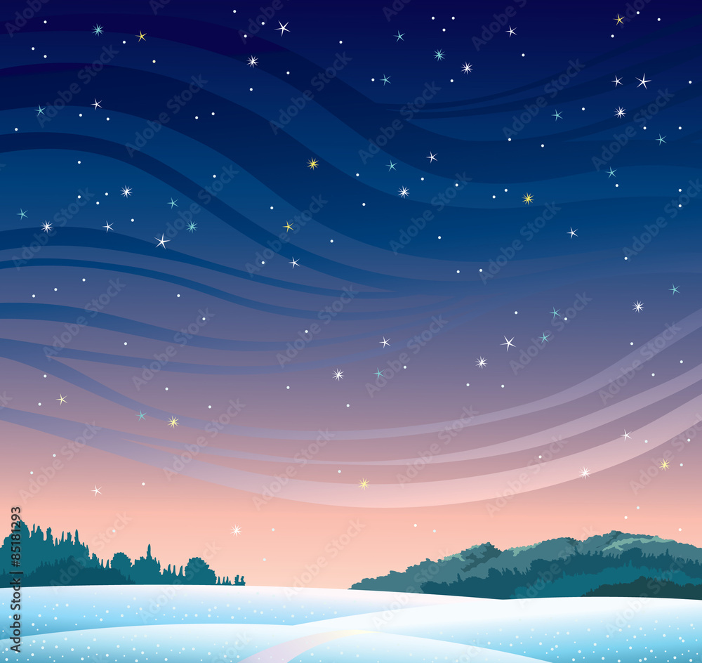 Winter night landscape.