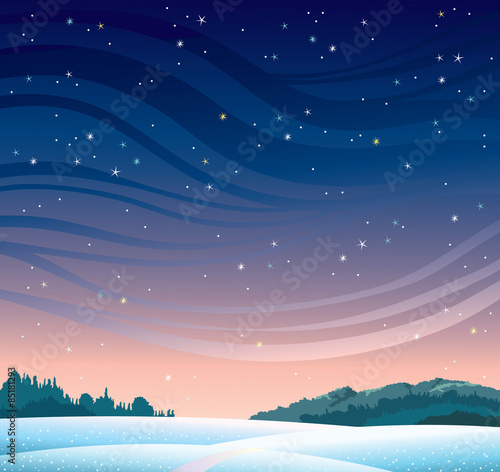 Winter night landscape.
