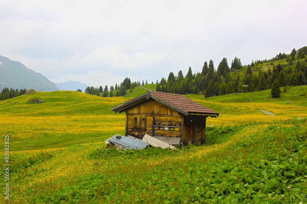 Bienenhaus im Frühling auf der Alp Flix Bienenhaus im Frühling auf der Alp Flix