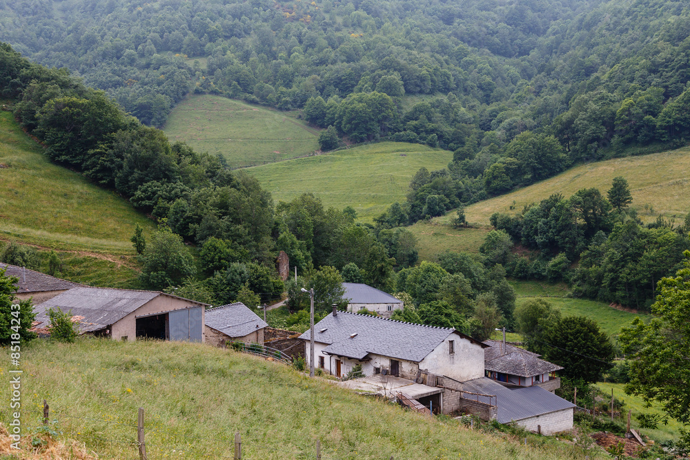 Arbas en el valle de Leitariegos, Asturias