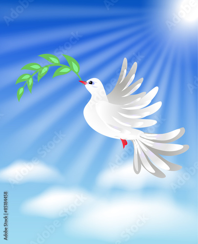 Flying white dove with green branch