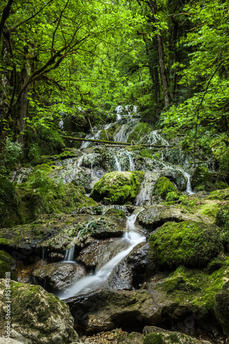 Bach im Wald