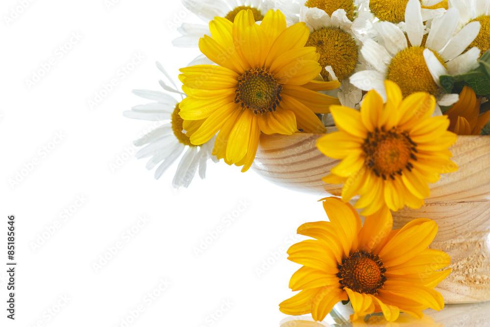 Naklejka premium bouquet of yellow and white daisies