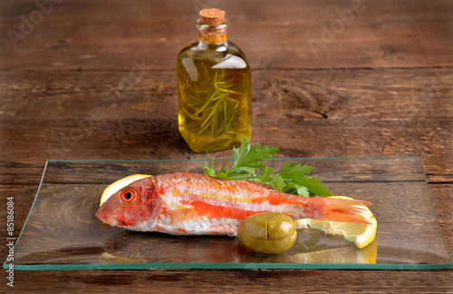 Red mullet (Mullus barbatus)
 photo